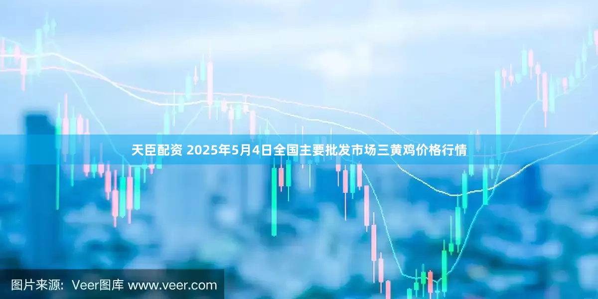 天臣配资 2025年5月4日全国主要批发市场三黄鸡价格行情