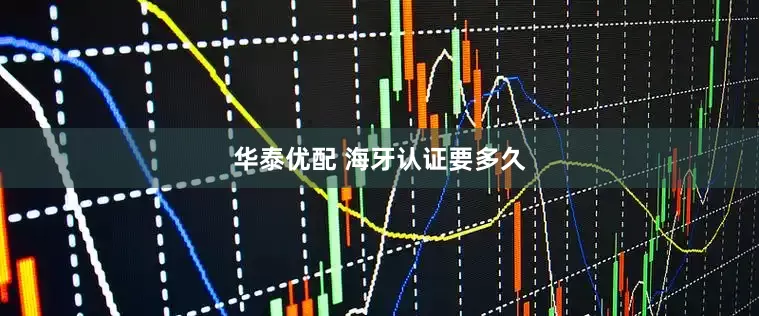 华泰优配 海牙认证要多久